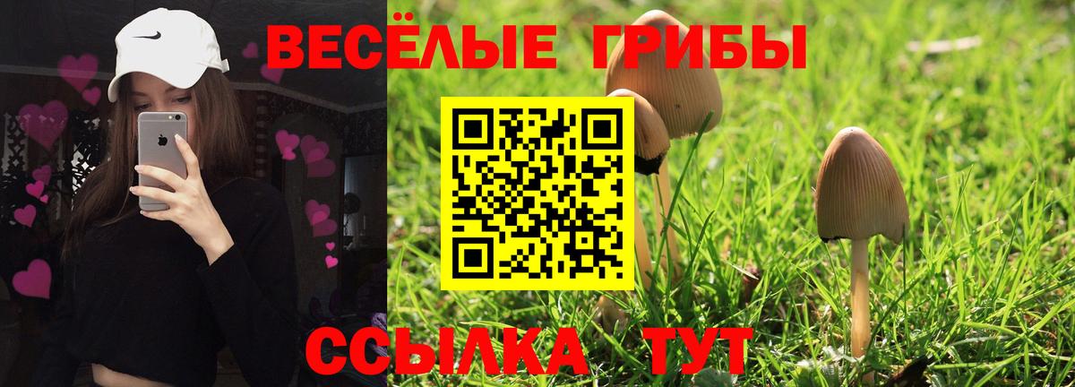 Псилоцибиновые грибы ЛСД Калуга